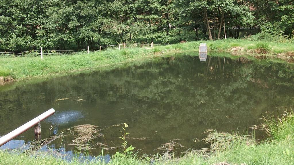 Gottschlich Apartment Schmallenberg Eksteriør bilde